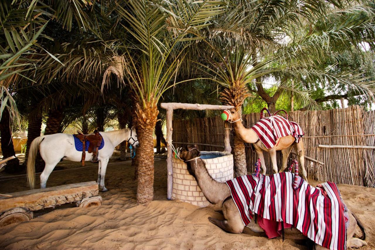 Telal Resort Al Ain Buitenkant foto Al-Dhakira